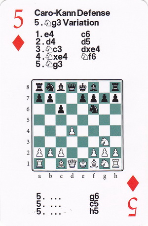 19